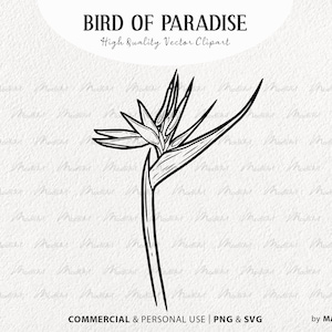 Clipart SVG fleur oiseau de paradis. Contour vectoriel de fleurs tropicales. Illustration de la ligne florale Heliconia. Art exotique végétal de la jungle. PNG et SVG