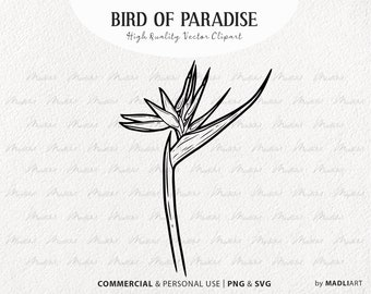 Bird Of Paradise Flower SVG Clipart. Tropical Flower Vector Outline. Heliconia Floral Line Illustration. Exotic Jungle Plant Art. PNG & SVG