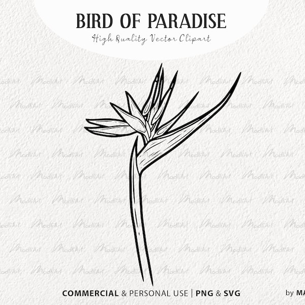 Bird Of Paradise Flower SVG Clipart. Tropical Flower Vector Outline. Heliconia Floral Line Illustration. Exotic Jungle Plant Art. PNG & SVG