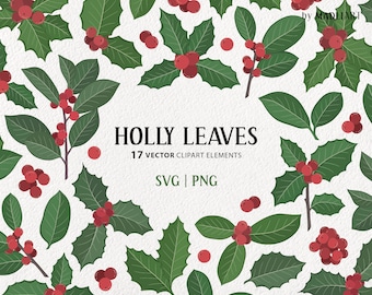 May include: A digital illustration of holly leaves and red berries. The illustration is on a white background and includes the text "HOLLY LEAVES 17 VECTOR CLIPART ELEMENTS SVG | PNG".