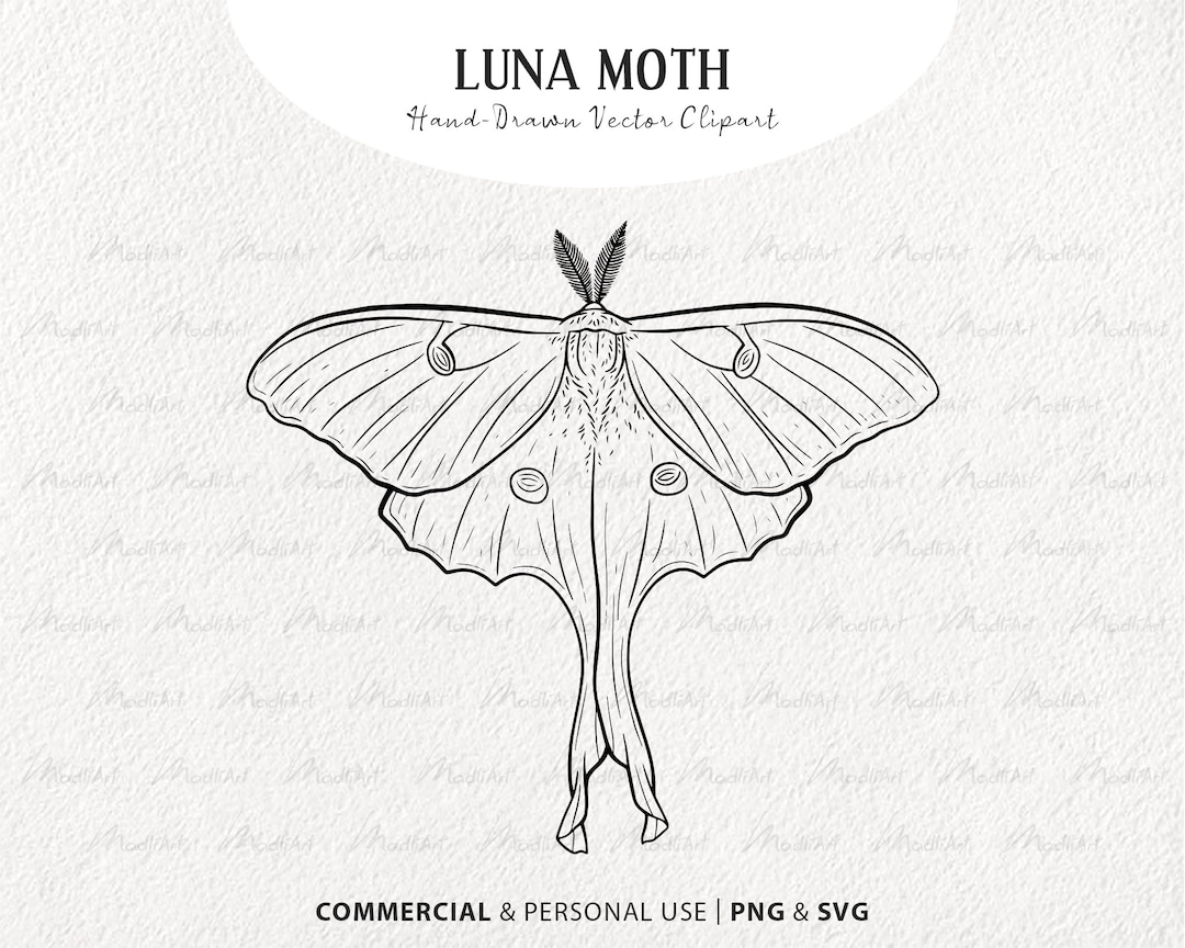 Luna Moth SVG Clip Art. Insect Vector Line Drawing. Night Butterfly
