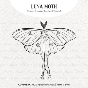Luna Moth SVG Clip Art. Insect Vector Line Drawing. Night Butterfly Drawing. PNG & SVG with Commercial license