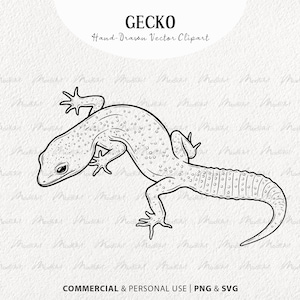 Può includere: Un disegno in bianco e nero di un geco lucertola. Il geco è rivolto a sinistra e ha un motivo a macchie sul corpo. L'immagine è etichettata "Gecko" e "Clipart vettoriale disegnato a mano".
