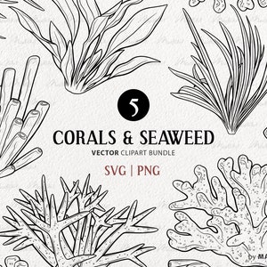 Coral & Seaweed Vector Clipart Bundle. Ocean Plants Artwork Set. Coral Reef Illustrations. Instant Download Commercial Use SVG and PNG art.