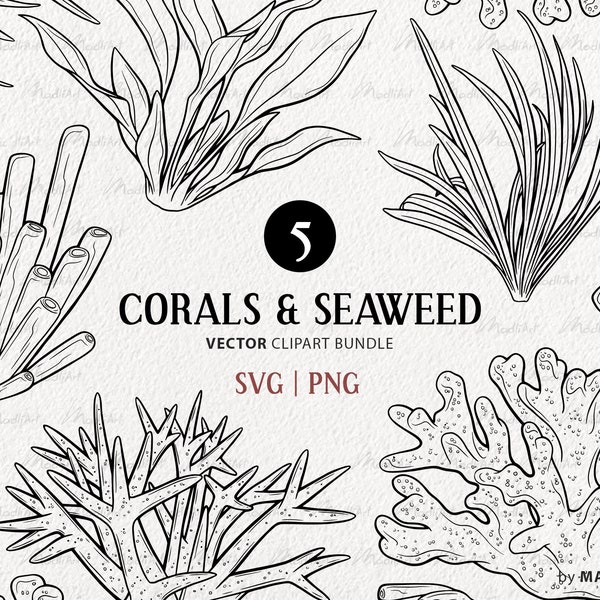Korallen & Algen Vektor Clipart Bundle. Ozean Pflanzen Kunstwerk Set. Korallenriff Illustrationen. Sofortiger Download Kommerzielle Nutzung SVG und PNG Kunst.