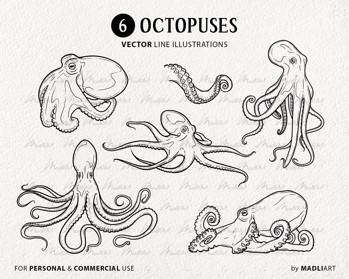 Octopus Clipart Bundle. Marine Animals Vector Line Art. 6 Octopuses ...