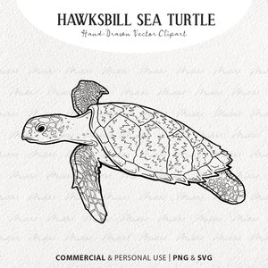 Tortuga Carey SVG Clip Art. Arte de línea vectorial de tortugas marinas. Dibujo lineal de animales marinos. Ilustración de la vida silvestre del océano. Comercial PNG y SVG