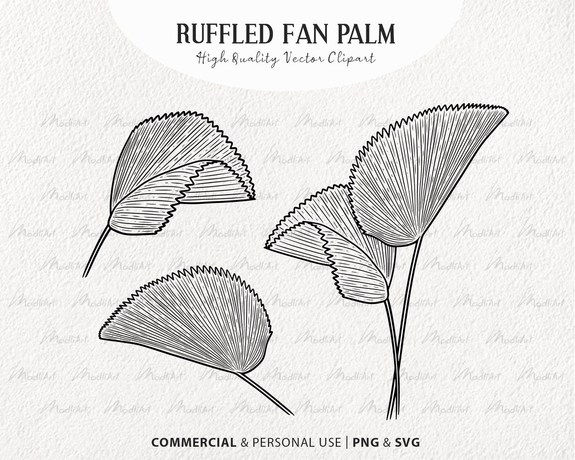 Svg Ruffle Outline 3 Ruffled Fan Palm Leaves Clipart Set. Jungle Palm Tree Vector Art ...