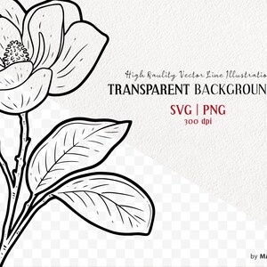 Magnolia SVG Clipart. Magnolia Blossom Vector Illustration. Magnolia Tattoo Stamp. Botanical Magnolia Floral Outline. PNG & SVG image 2