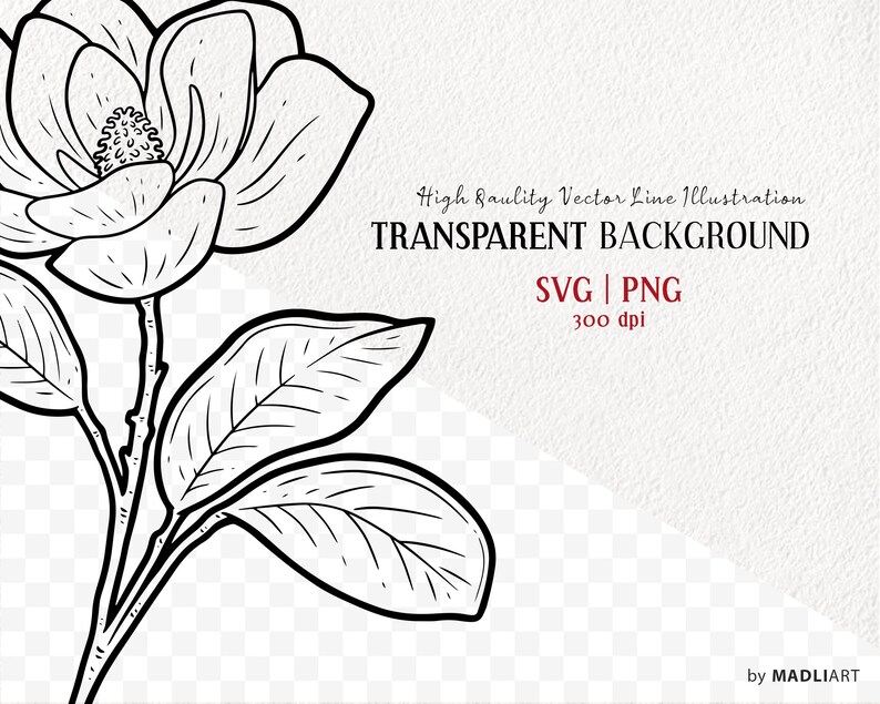 Magnolia SVG Clipart. Magnolia Blossom Vector Illustration. Magnolia Tattoo Stamp. Botanical Magnolia Floral Outline. PNG & SVG image 2