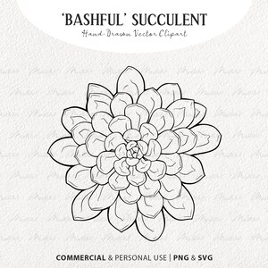 Imágenes prediseñadas SVG suculentas tímidas. Ilustraciones vectoriales de plantas del desierto. Contorno de cactus minimalista. Dibujo lineal botánico. Uso comercial SVG y PNG