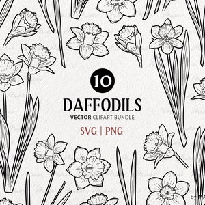 10 Jonquilles SVG Clipart Bundle. Fleurs de jonquilles printanières. Dessin au trait de bouquet de fleurs. Contour vectoriel de narcisse. Fleur de naissance de mars. PNG et SVG