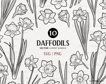 10 Daffodils SVG Clipart Bundle. Spring Daffodil Blossoms. Flower Bouquet Line Art. Narcissus Vector Outline. March Birth Flower. PNG & SVG