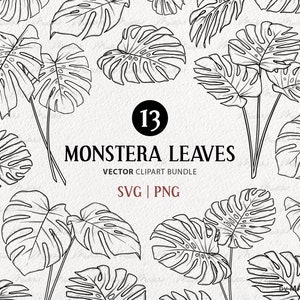Pacchetto di clipart SVG di foglia di Monstera. 13 foglie tropicali. Illustrazioni di linee vettoriali botaniche. Arte decorativa minimale per piante della giungla. File PNG e SVG