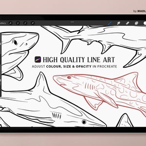 8 Procreate Shark Stamps. Sea Animal Tattoo Design. Great - Etsy