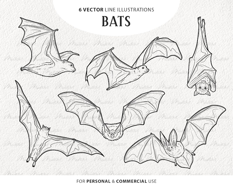 6 Bats SVG Clipart. Flying Bat Vector Art. Fruit Bat Line Etsy