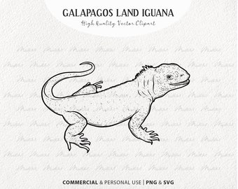 SVG-Clipart - Galapagos Land Legua. Tropische Eidechse, Vektorgrafik. Legua Linie Kunst. Reptilien Umriss Grafik. Kommerzielles PNG & SVG