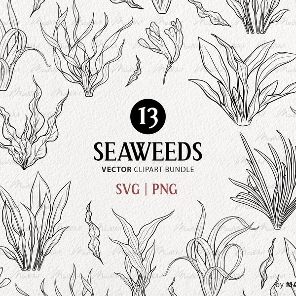 13 Seaweeds Clipart Bundle. Ocean Plants Vector Artwork. Underwater Weed Illustrations. Sea Plant Line Art Set. Commercial SVG and PNG