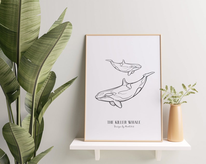 Puede incluir: Una impresi&oacute;n en blanco y negro de arte de l&iacute;nea de dos orcas, una m&aacute;s grande que la otra, nadando en el oc&eacute;ano. La impresi&oacute;n est&aacute; enmarcada en un marco de madera claro y tiene el t&iacute;tulo "The Killer Whale" con el texto "Design by Madlittle" debajo del t&iacute;tulo.