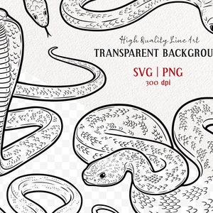7 Snakes SVG Clipart Bundle. Cobra Vector Drawings. Rattlesnake Tattoo ...