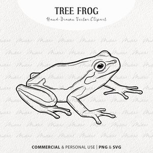 Tree Frog SVG Clipart. Frog Vector Drawing. Green, White and Red-Eyed Tree Frog. Reptile Outline Graphics. Commercial PNG & SVG image 1