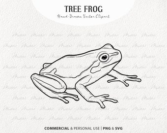 Tree Frog SVG Clipart. Frog Vector Drawing. Green, White and Red-Eyed Tree Frog. Reptile Outline Graphics. Commercial PNG & SVG