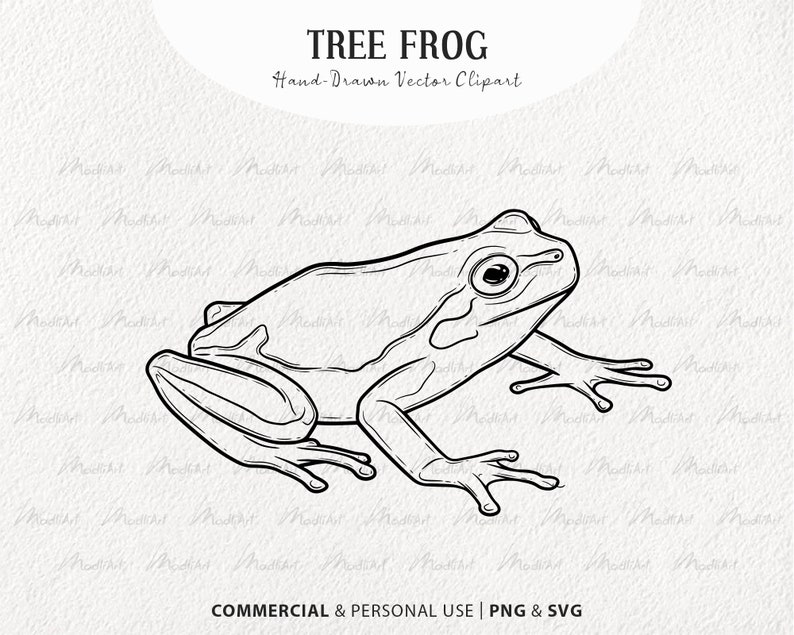 Tree Frog SVG Clipart. Frog Vector Drawing. Green, White and Red-Eyed Tree Frog. Reptile Outline Graphics. Commercial PNG & SVG image 1