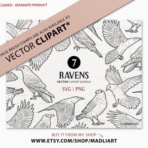 7 Procreate Raven Stamps. Crow Tattoo Design. Raven Clipart Brush ...