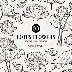 Pacote SVG de 10 flores de lótus. 4 desenhos de clipart de nenúfar. Contorno da flor de lótus. Arte vetorial de flor de água celestial. Arquivos SVG e PNG