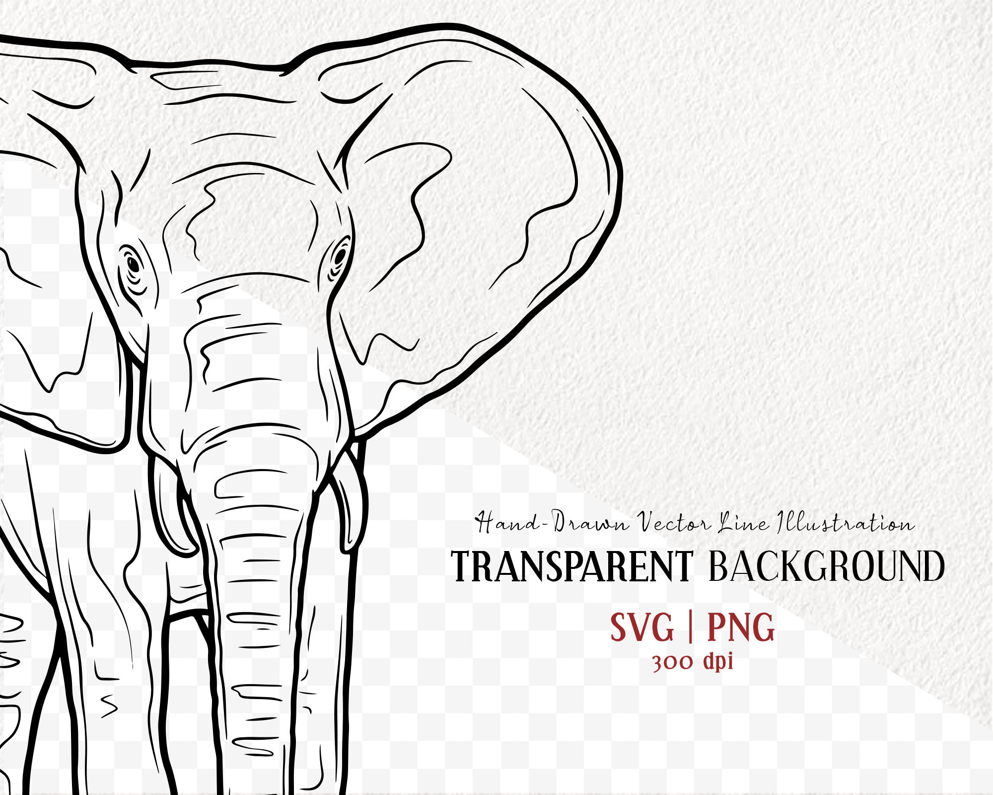 African Elephant Vector Clipart. Safari Animal SVG Outline. Elephant
