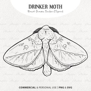 Drinker Moth SVG Vector Clip Art. Butterfly Vector Line Art. Moth Insect Vector Line Drawing. PNG & SVG Commercial License