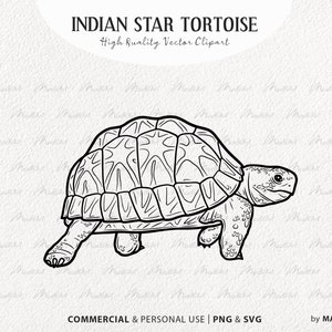 Clipart SVG tortue étoilée indienne. Illustration vectorielle de tortue terrestre. Art mignon de contour de tortue. Dessin au trait de reptile. SVG, PNG commerciaux