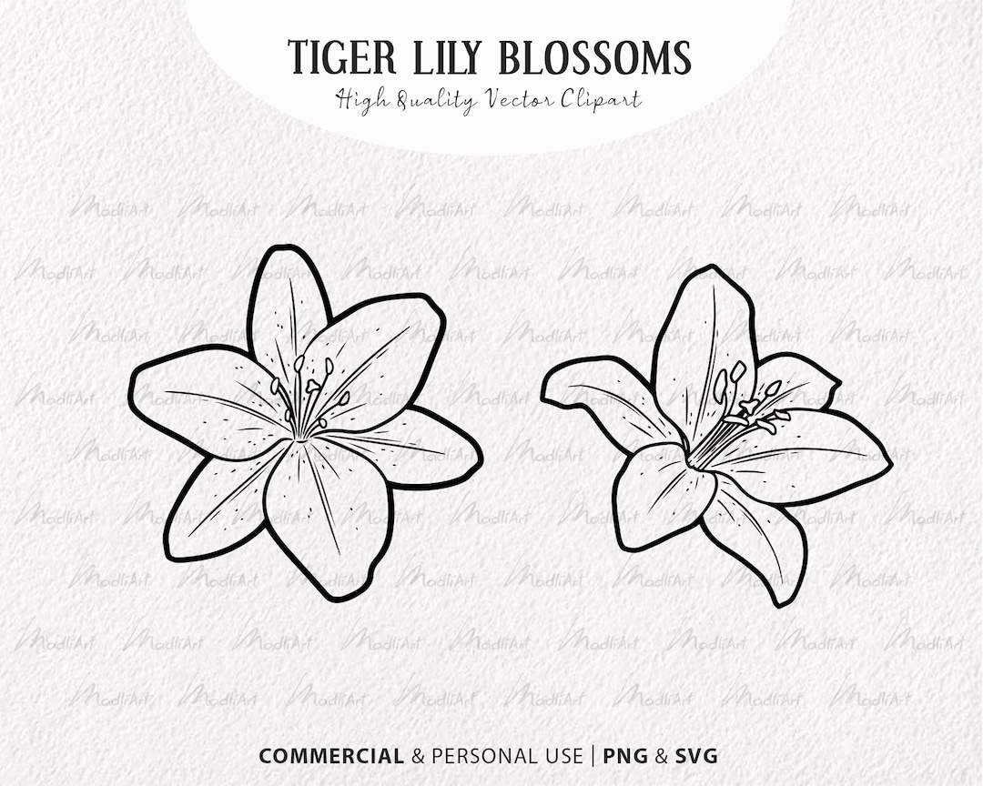 Lily Flower SVG Clipart. Tiger Lily Vector Drawing. Lily Flower