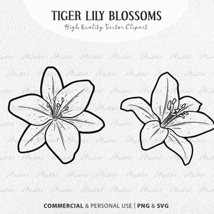 Clipart SVG fleur de lys. Dessin vectoriel de lys tigre. Dessin Au Trait De Fleurs De Lys. Contour de lys de Pâques. Fleurs sauvages printanières. PNG et SVG