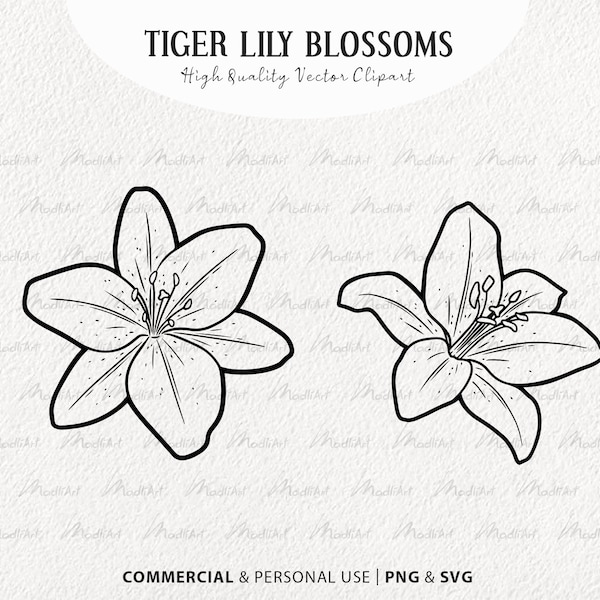 Lily Flower SVG Clipart. Tiger Lily Vector Drawing. Lily Flower Blossoms Line Drawing. Easter Lily Outline. Spring Wildflower. PNG & SVG
