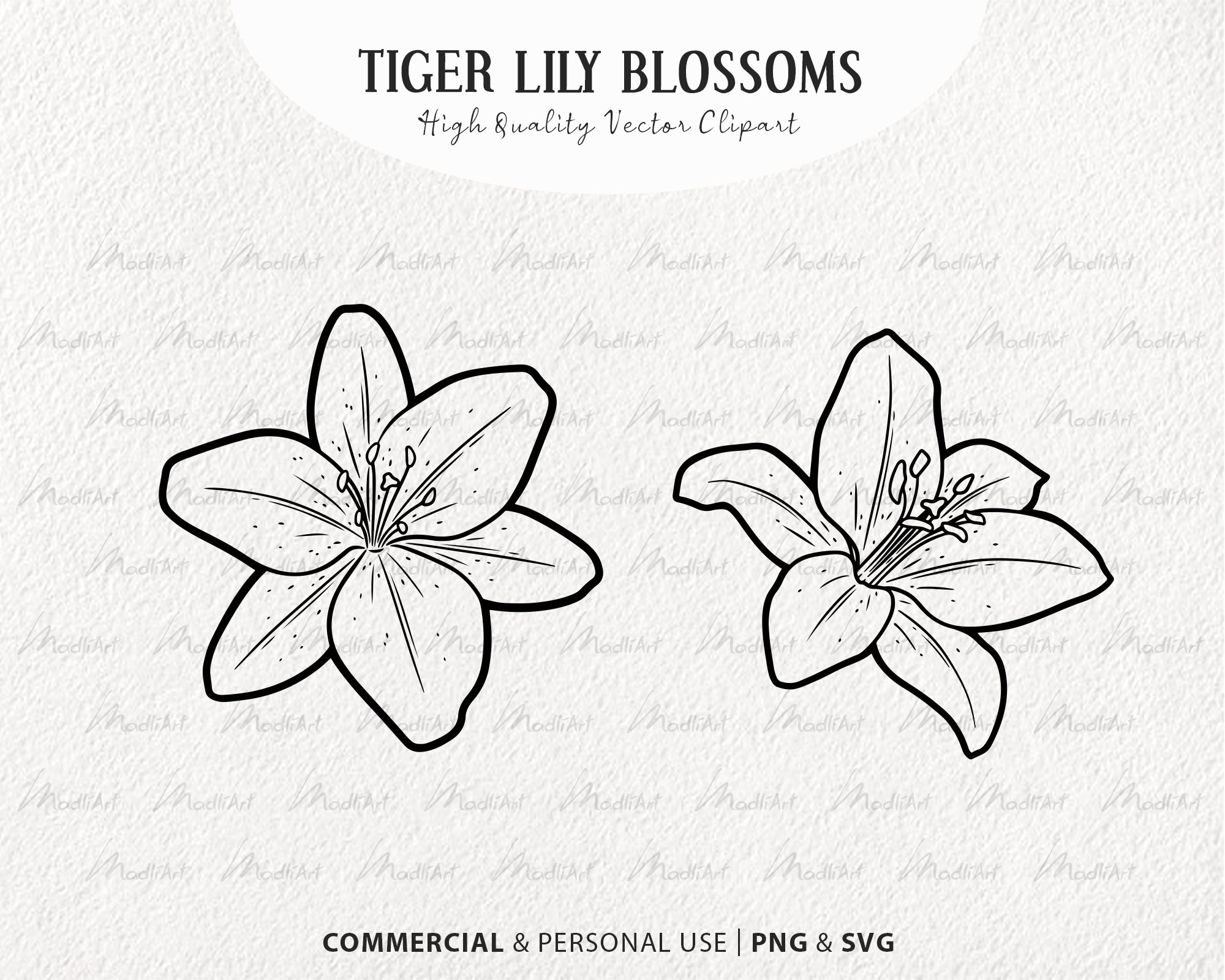 Lily Flower SVG Clipart. Tiger Lily Blossom. Flower Bouquet Line Drawing.  Easter Lily Vector Outline. Spring Wildflower. PNG & SVG - Etsy Ireland