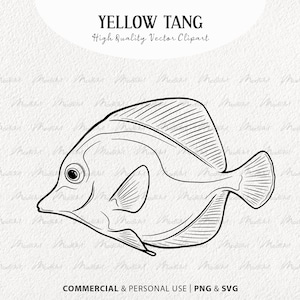 Yellow Tang Vector Clipart. Coral Reef Fish SVG Drawing. Ocean Fish Line Art. Small Tropical Fish Artwork. PNG & SVG with Commercial License