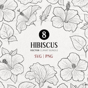 Hibiscus SVG Clipart Bundle. 8 Tropical Hawaii Flowers. Botanical Vector Line Illustrations. Exotic Jungle Plant Decor. PNG & SVG files