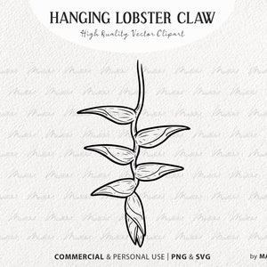 Hanging Lobster Claw SVG Clipart. Tropical Flower Vector Outline. Heliconia Rostrata Line Illustration. Exotic Jungle Plant Art. PNG & SVG