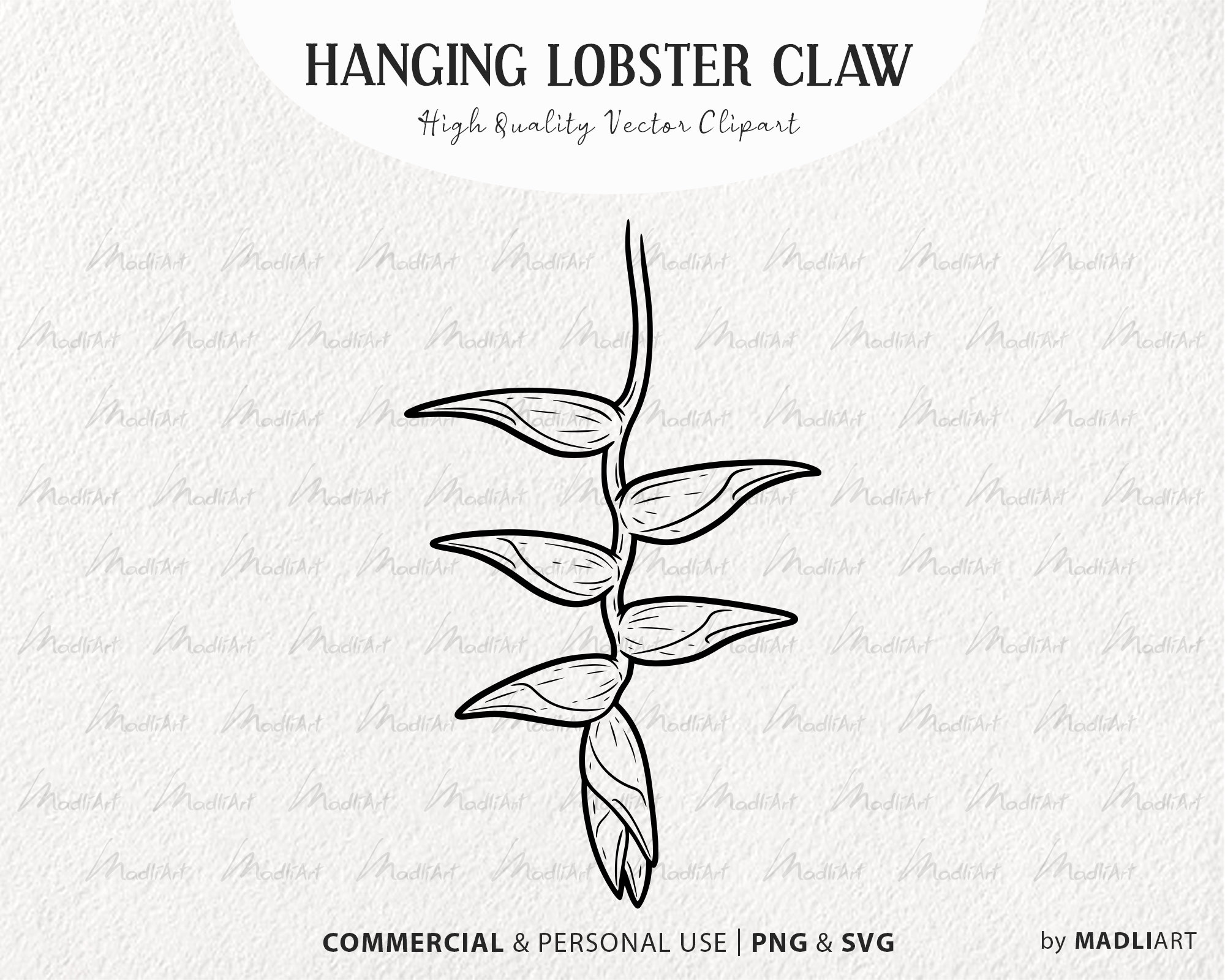 Lobster Claw Outline