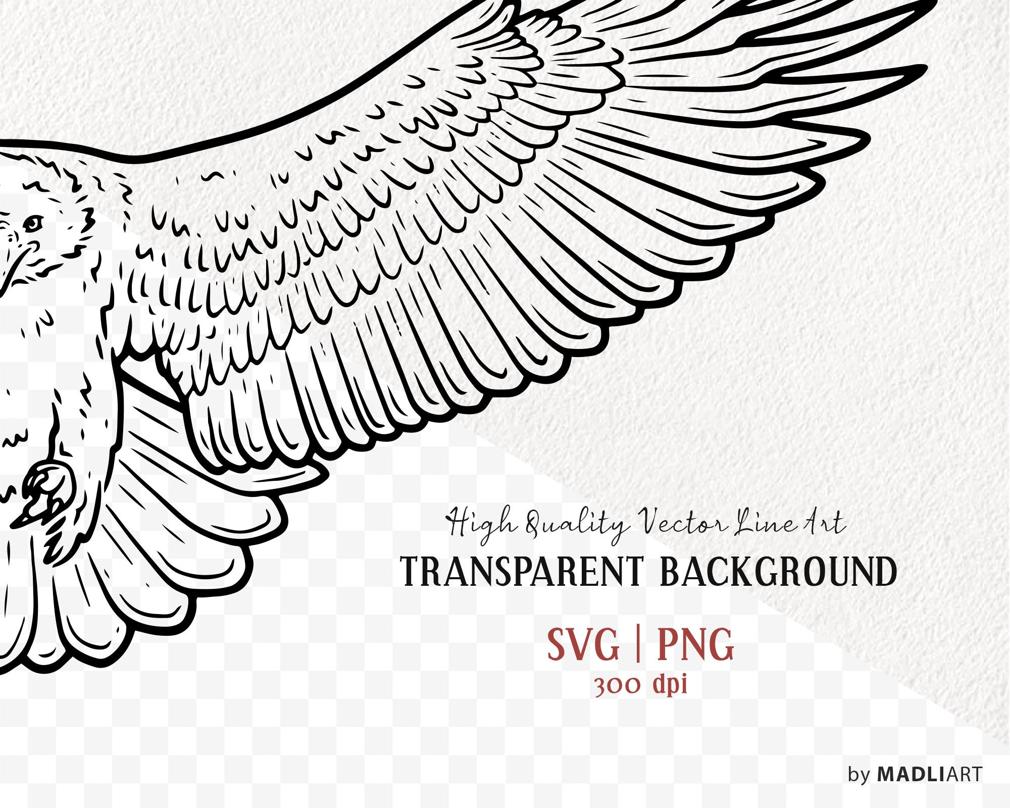 Eagle SVG Clipart Bundle. Eagle Vector Line Drawings. Bald Eagle Svg Line  Art. Bird of Prey Clipart. Hawk Bird Outline. SVG \u0026 PNG Art - Etsy, image size:2000x1600