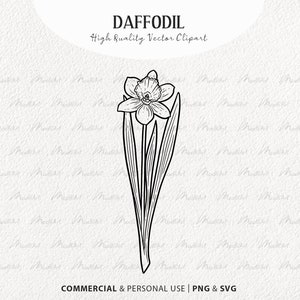 Clipart SVG jonquille. Fleur printanière de vecteur de jonquille. Dessin au trait fleur jonquille. Contour De Vecteur De Narcisse. Fleur de naissance de mars. PNG et SVG