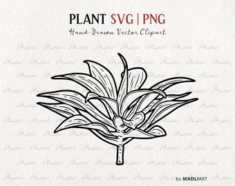 Leafy Plant SVG Clipart. Vector House Plant Line Drawing. Potted Plant Outline Illustration. Minimal Plant Art. PNG & SVG Art