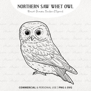 Nördliche Säge Eule SVG Clipart. Schnee Eule Vektor Zeichnung. Fliegender Vogel-Linie Zeichnung. Vogel Design. Hedwig Eule. Kommerzielles PNG & SVG