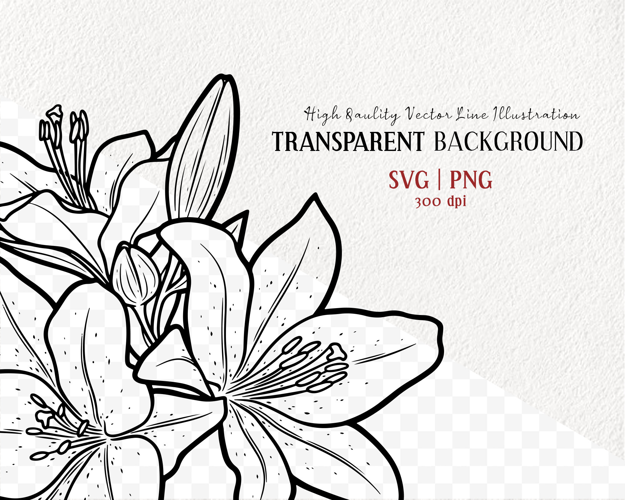 Buy Lily Flower SVG Clipart. Tiger Lily Blossom. Flower Bouquet Online