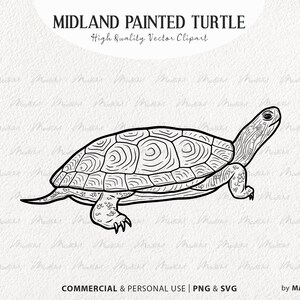 Imágenes prediseñadas SVG de tortuga pintada de Midland. Ilustraciones vectoriales de tortuga terrestre. Lindo arte del contorno de la tortuga. Dibujo lineal de reptiles. SVG comercial, PNG