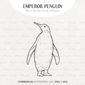Imágenes prediseñadas SVG del pingüino emperador. Conjunto de ilustraciones vectoriales de pingüinos navideños. Dibujo lineal de pingüino adulto. Arte de aves de invierno. Uso comercial SVG y PNG