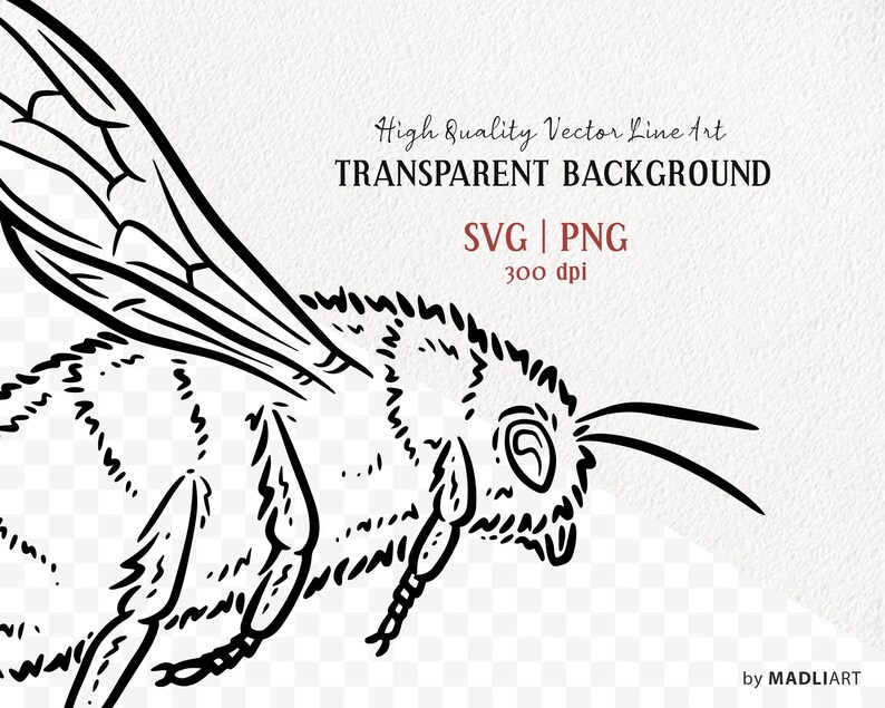 Bee SVG Clipart. Bumblebee Svg Outline Stamp. Honey Bee Vector Line Art ...