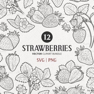 Pacchetto clipart SVG fragola. 12 Fragole Vettoriali. Fiori di piante di fragola, foglie, bacche illustrazioni al tratto. File PNG e SVG