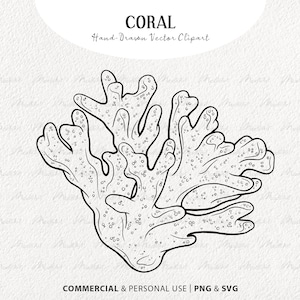 Coral SVG Clipart. Coral Vector Line Art. Coral Reef Illustration. Marine Life Outline Drawing. Ocean Plant Drawing. Commercial SVG & PNG